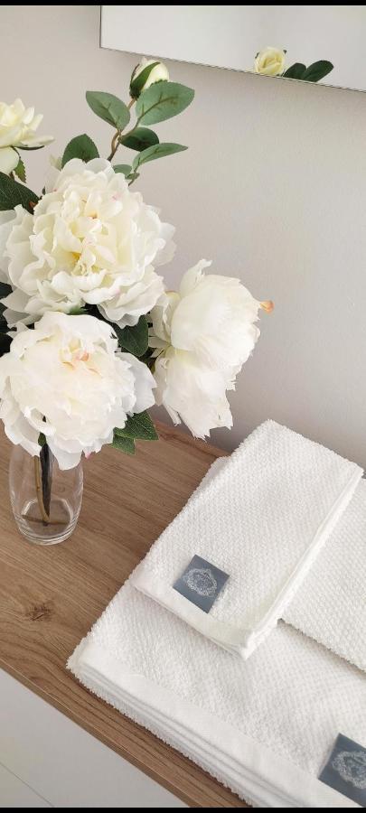 Appartamento Delizioso Con Terrazzo In Centro-Delicious Apartment With Terrace サンレモ エクステリア 写真